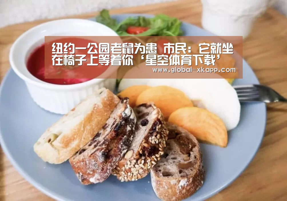 星空体育手机版