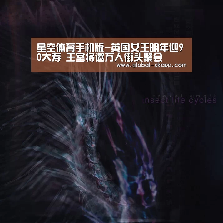 星空体育官网下载