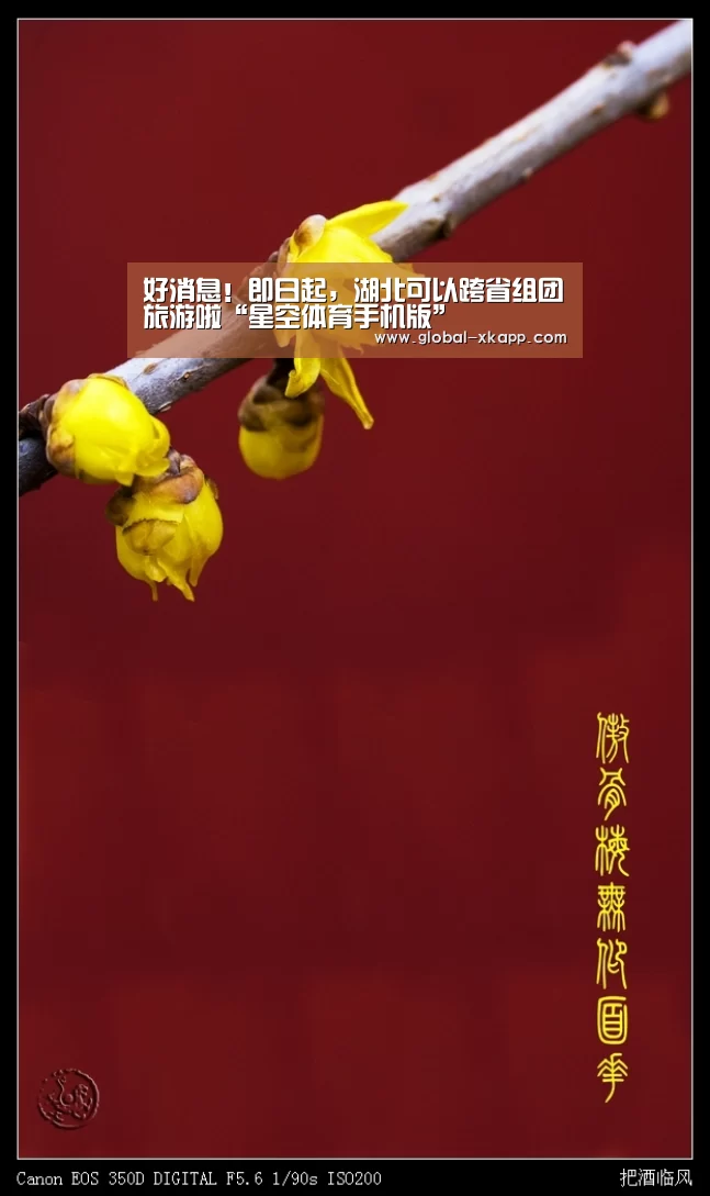 星空体育官网下载