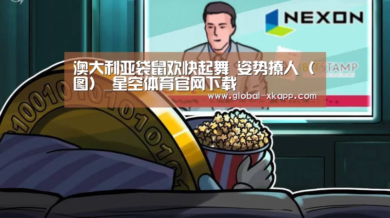 星空体育官网下载