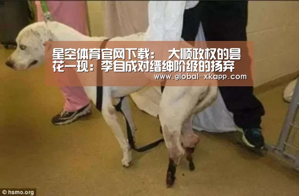 星空体育下载