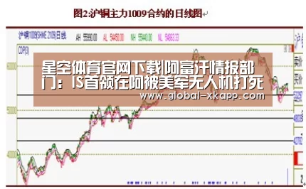 星空体育官网下载|阿富汗情报部门:IS首领在阿被美军无人机打死(图3) 星空体育app