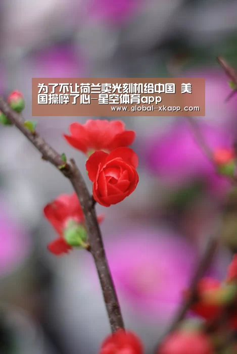 星空体育官网下载